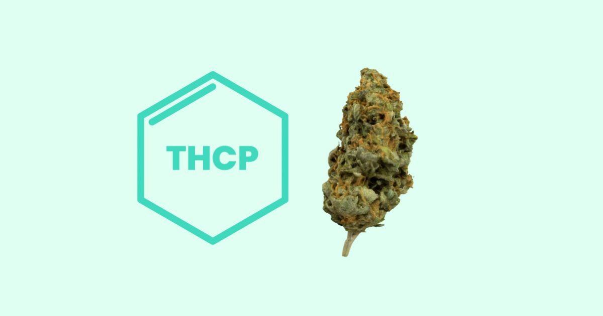 THCP Flower Is Strong - Buy High Quality Potent Hemp Flower